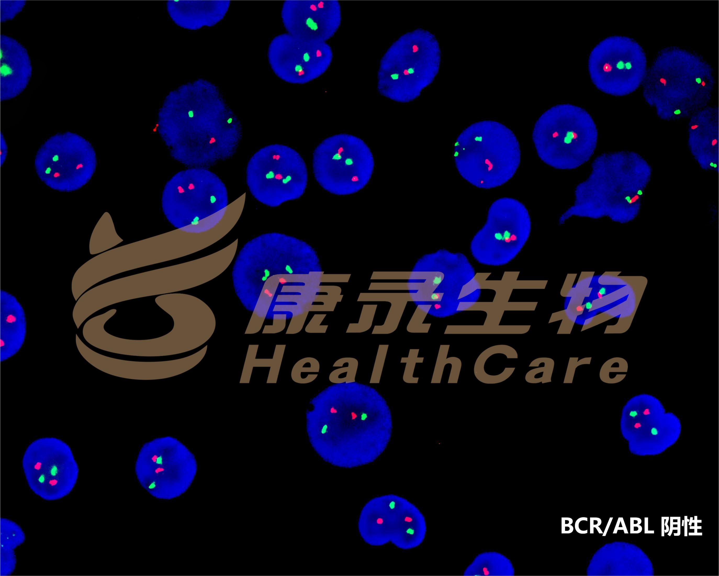 中国·拉斯维加斯(3499·官方认证)网站-Officialwebsite